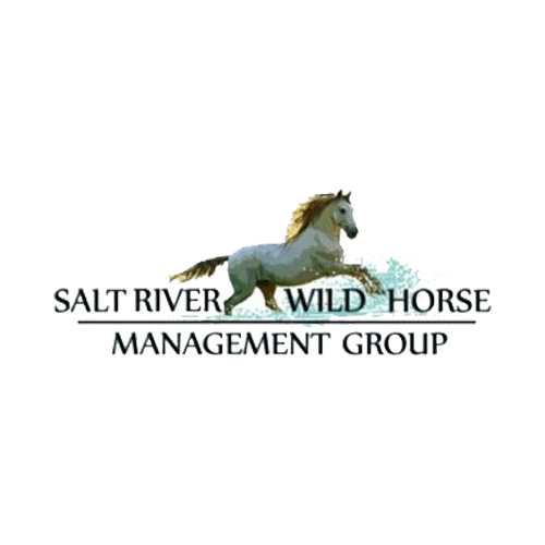 Salt River Wild Horse Management Group